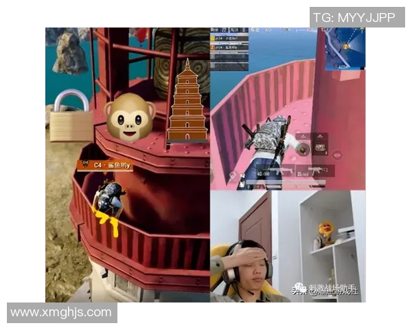 杨娜专访：回顾和平精英历程